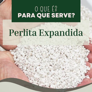 Perlita Expandida Grow cultivo Germinação 20 litros