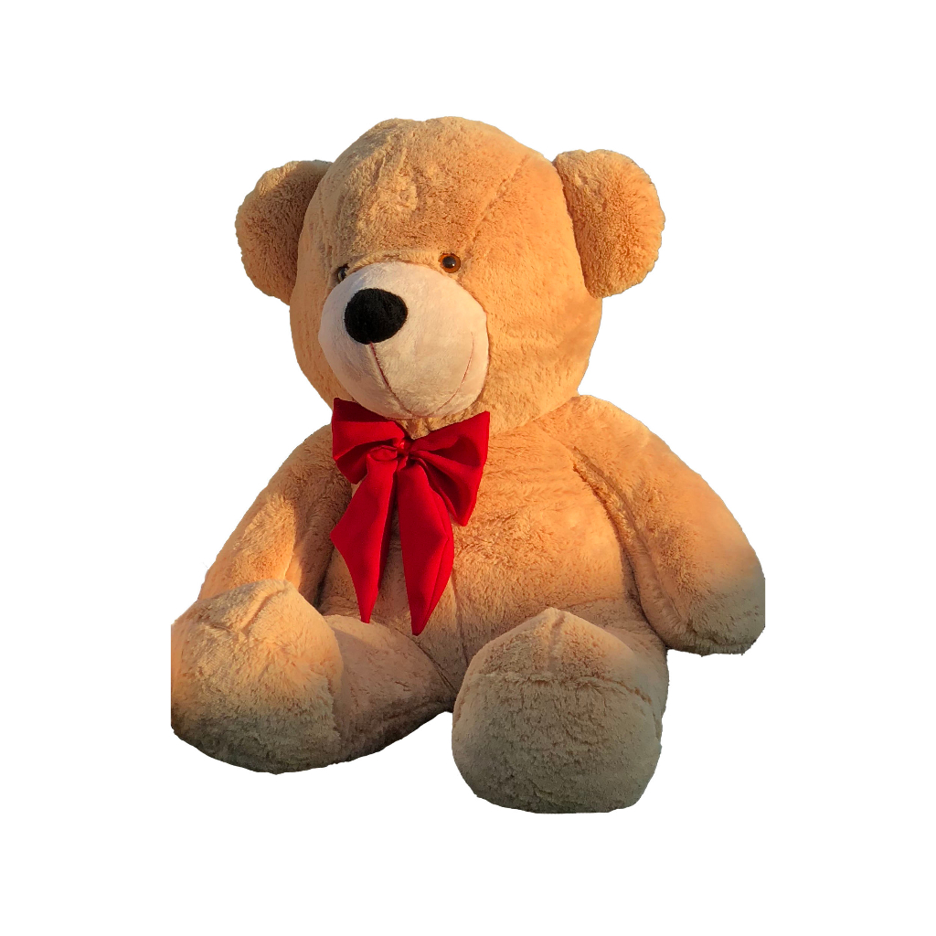 Teddy bear hot sale shopee