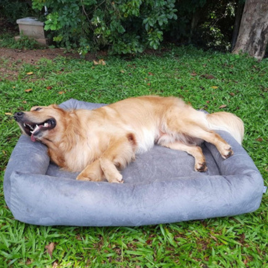Cama Para Cachorro Grande 100x87 Cm - 100% Lavável