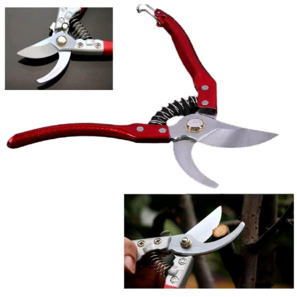 Alicate Tesoura Profissional De Poda Podar Plantas Galhos vermelha Shopee Brasil