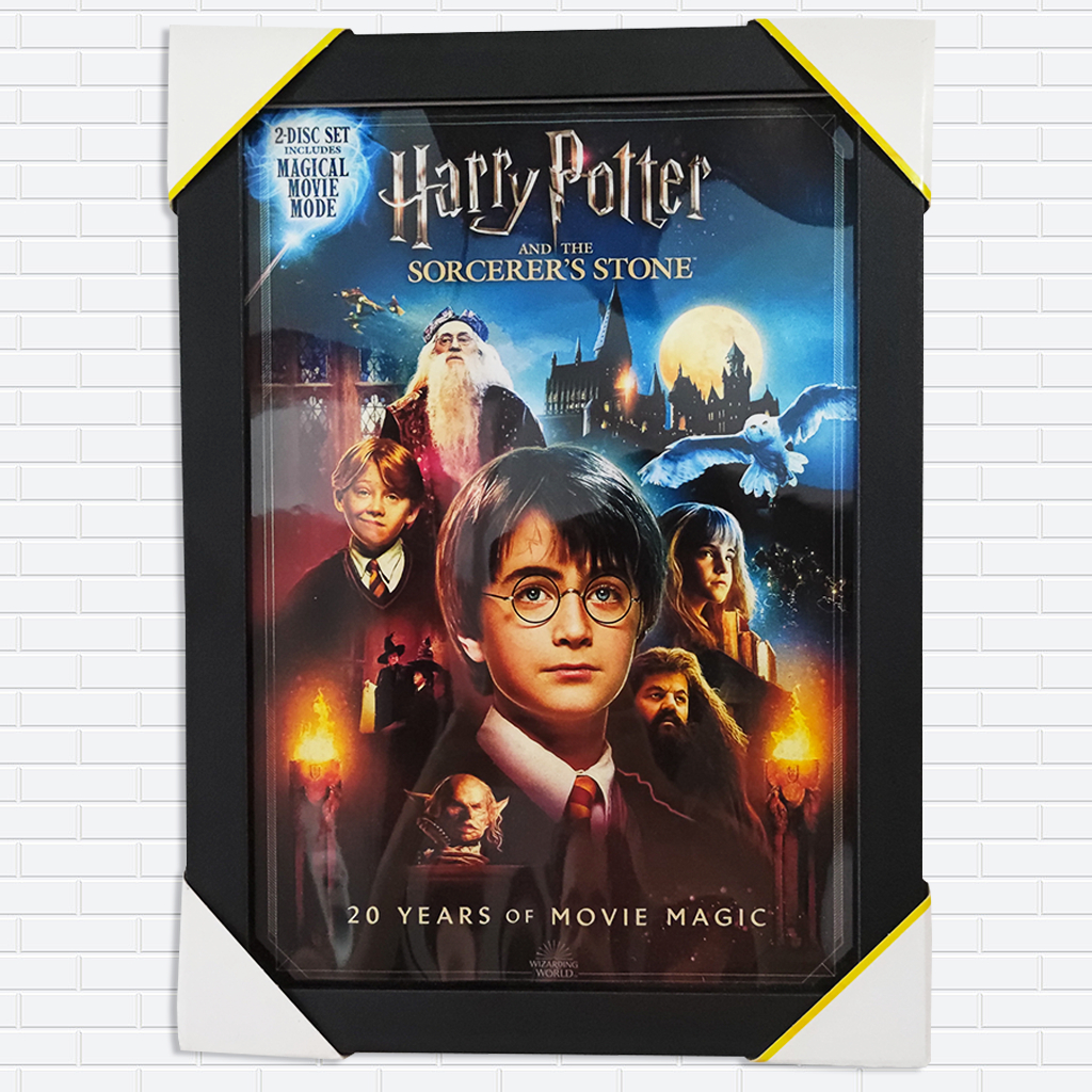 Quadro Decorativo Com Moldura Harry Potter e a Pedra Filosofal Hogwarts Filme [Tamanho A4]