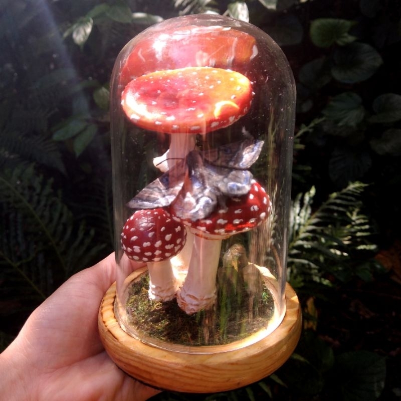 Cúpula Jardim de Cogumelos
