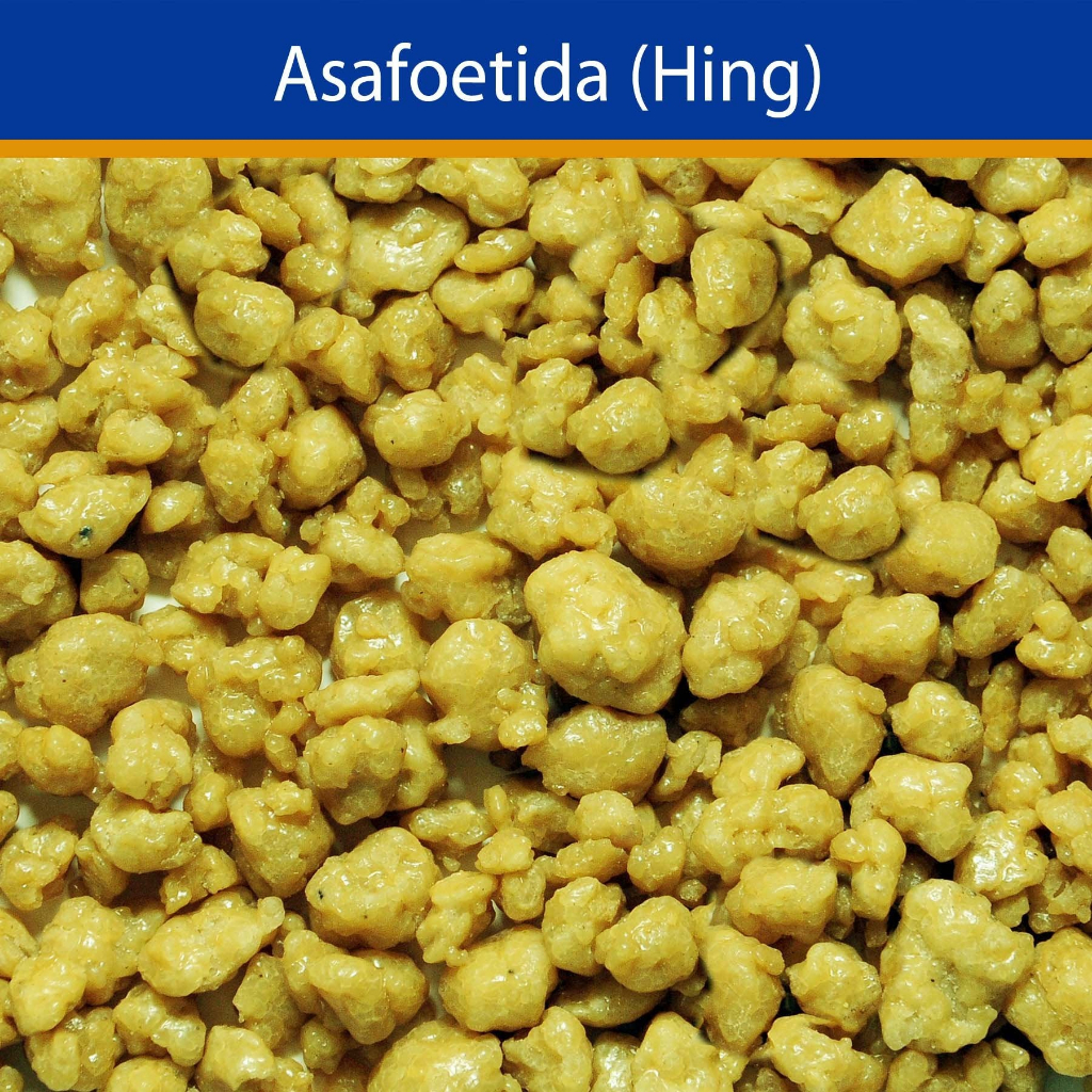 Assafétida Importada Mais pura do mercado 90% - 30 g a granel (zip pouch)