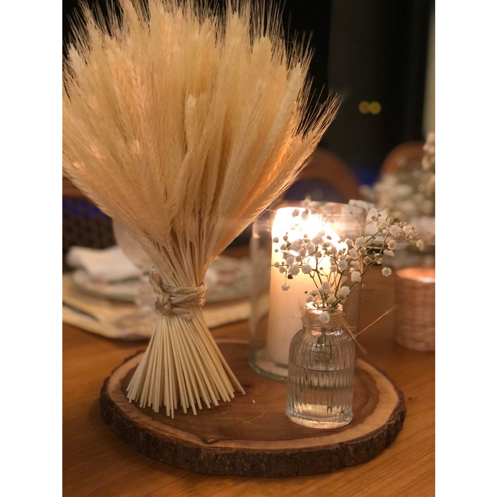Trigo Seco 35Hastes Desidratado Para Decoração Natal Casamento Convite ...