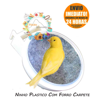 Kit 8 Ninho Branco Vertical Carpete Para Canario Belga Terra Pintassilgo Tizil Bigodinho