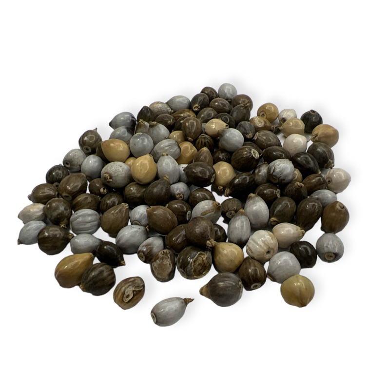 Lágrima de Nossa Senhora Passante