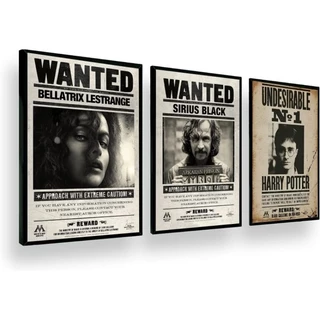 Kit quadrinhos Procurados Harry Potter 3 peças