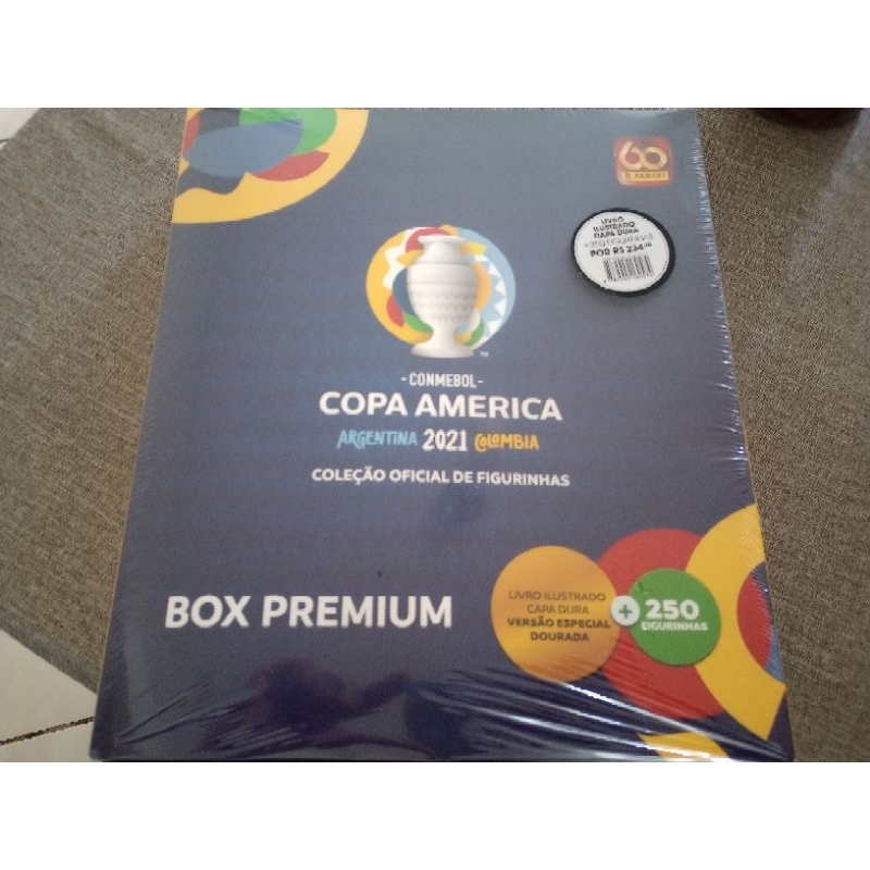 Album Capa Dourado Copa Do Mundo Qatar 2022 + 50 Envelopes em Promoção na  Americanas