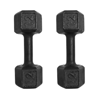Par Halter Sextavado Pintado 12 Kg Treino Musculação C/ 2 Un
