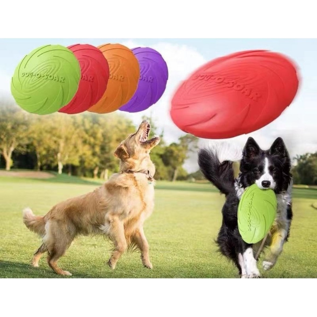 Dog frisbee best sale