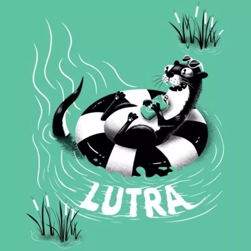 10 kveik variados promoção aniversário Mundokveik