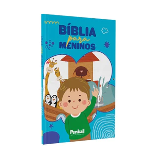 Bíblia Infantil do Menino