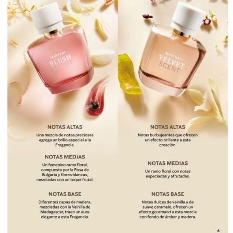 Colônia Velvet Scent Shopee Brasil