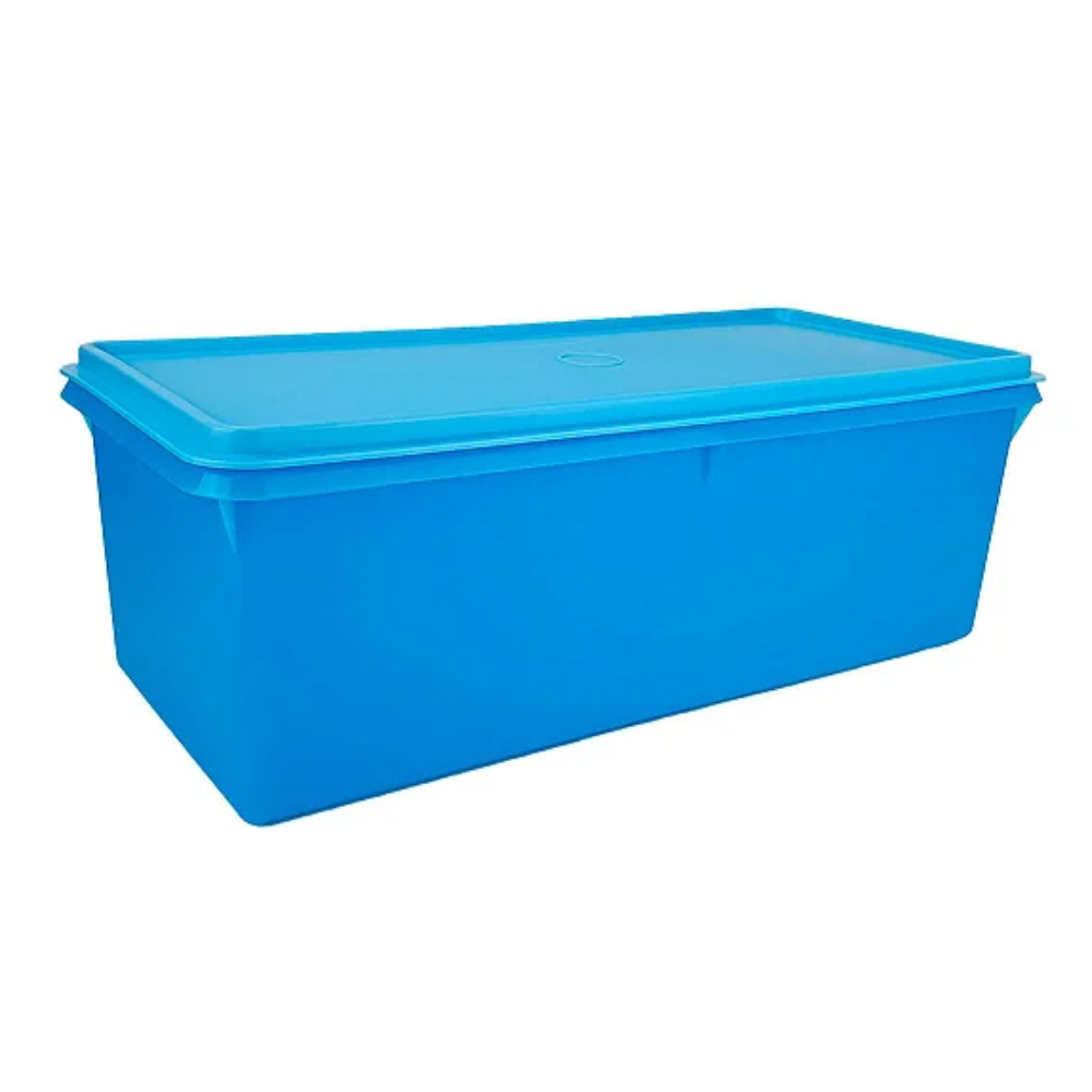 Tupperware Mega Caixa 6 litros | Shopee Brasil