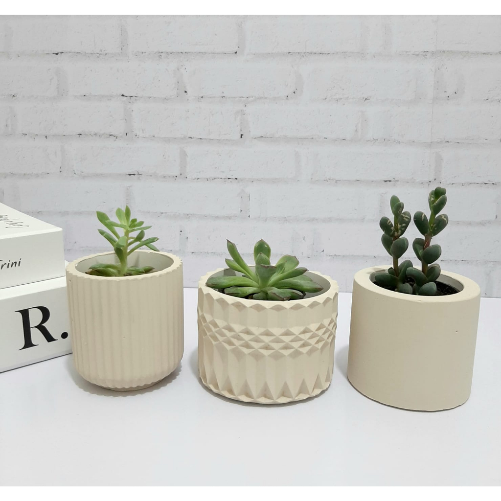 Kit 3 vasos grandes para suculentas (várias cores) | Shopee Brasil
