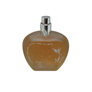 Amore Mio Perfume: Onde Comprar | BuscaProdutos