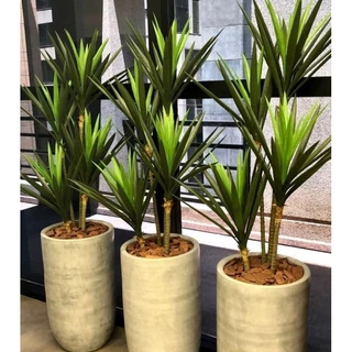 planta yucca artificial 3hastes 1mt /sem o vaso