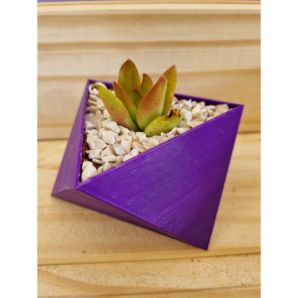Vasos para Cactos Suculentas Triangular Geométrico Cachepot Decorativo ...