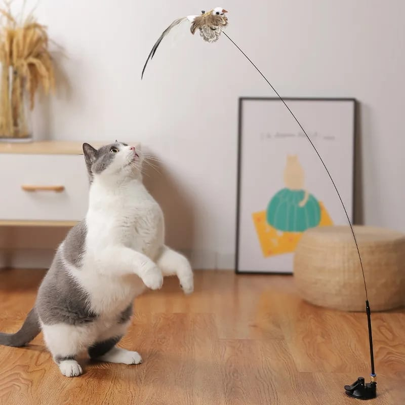 Brinquedo Interativo Varinha Pássaro C/ Ventosa Fixa Gato