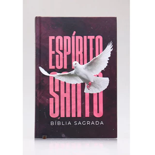Bíblia Sagrada | ACF | Letra Média | Capa Dura | Espírito Santo | 942 Páginas