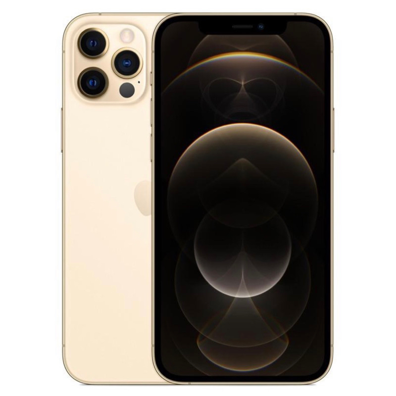 iPhone 12 Pro 256GB novo vitrine saúde bateria 95/100% | Shopee Brasil