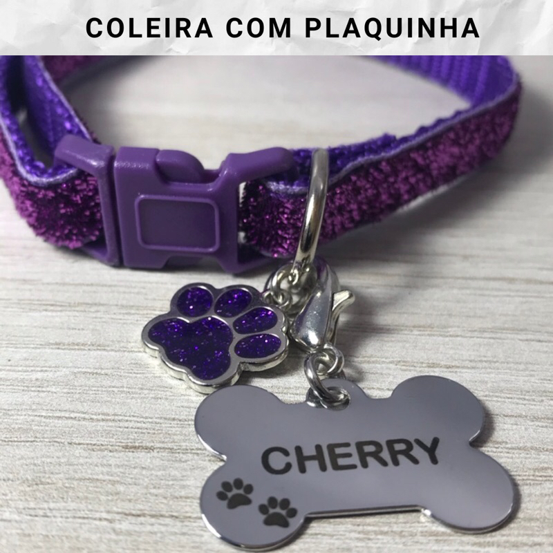 Coleira com Plaquinha de Identificação para câes de porte Pequeno ...