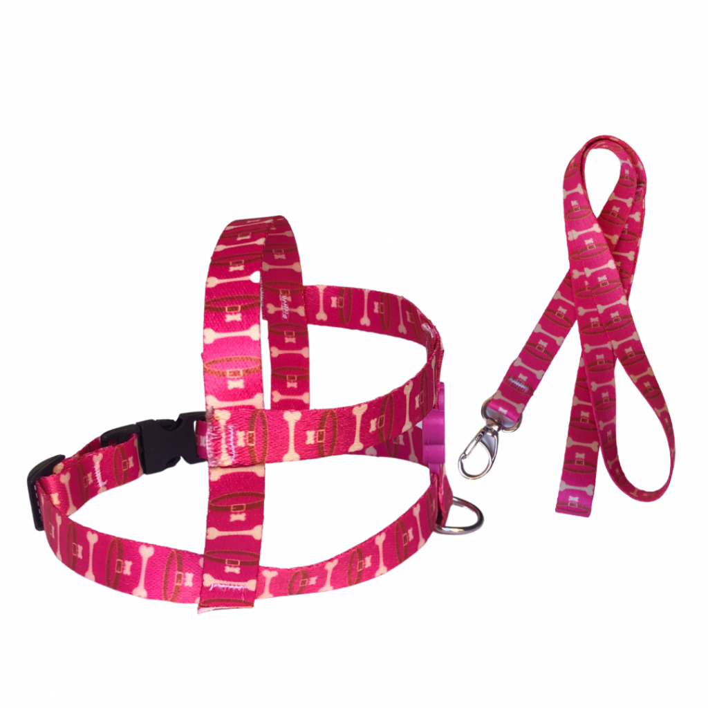 Coleira Peitoral Com Guia Para Cachorro Pet Porte Pequeno