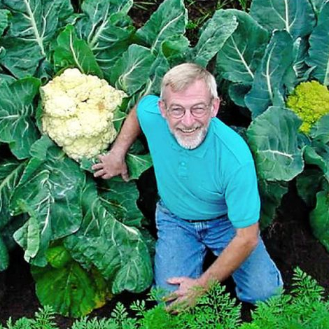100 sements couve flor gigante com manual de cultivo | Shopee Brasil