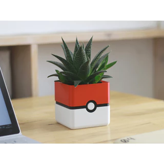 Vaso Suculentas - Pokmon / Pokeball 6,5cm