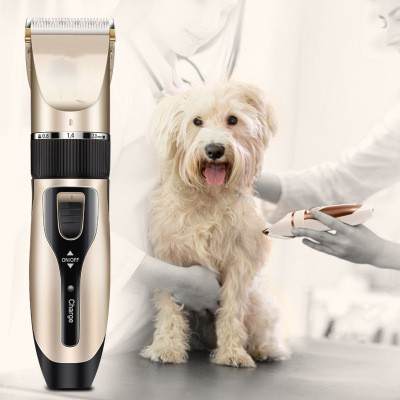1 Máquina Profissional Recarregável De Beleza Pet Grooming Para Gatos Cães Cabelo
