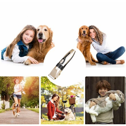 Pets