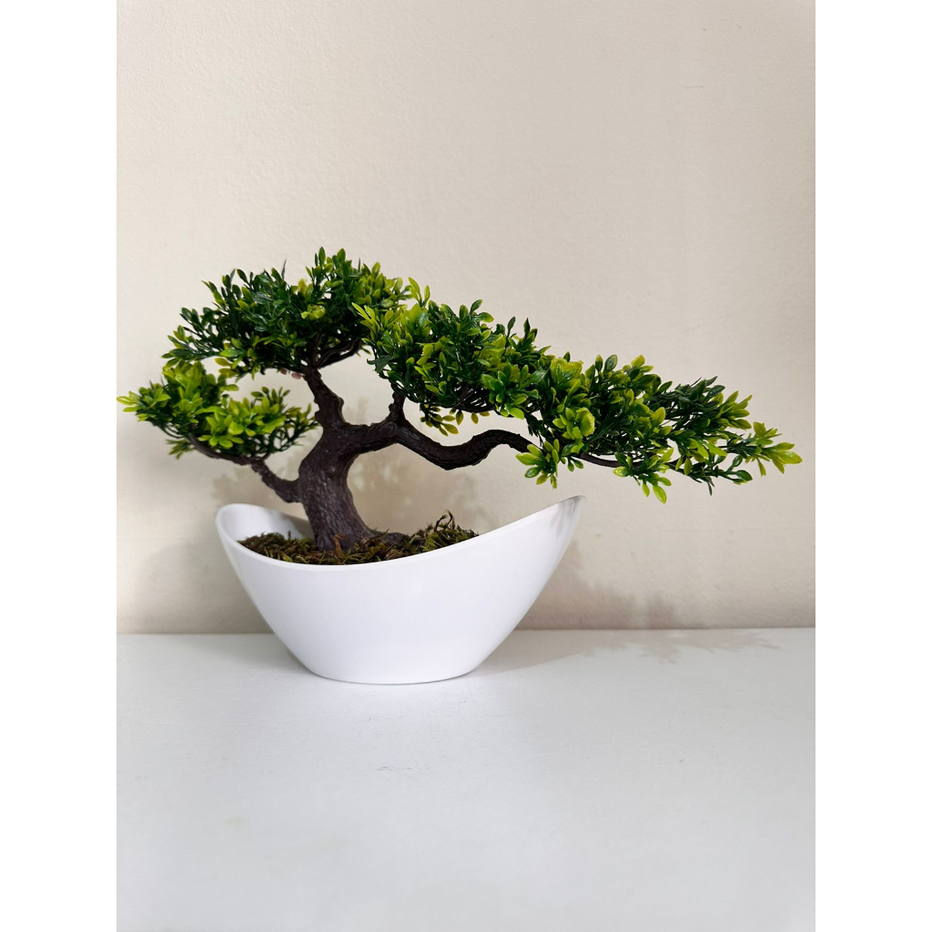 Bonsai Real Artificial Folhas Verdes Vaso Branco Completo