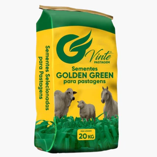 Sementes Capim Massai Pacote 10kg - Rende 6 Mil M²