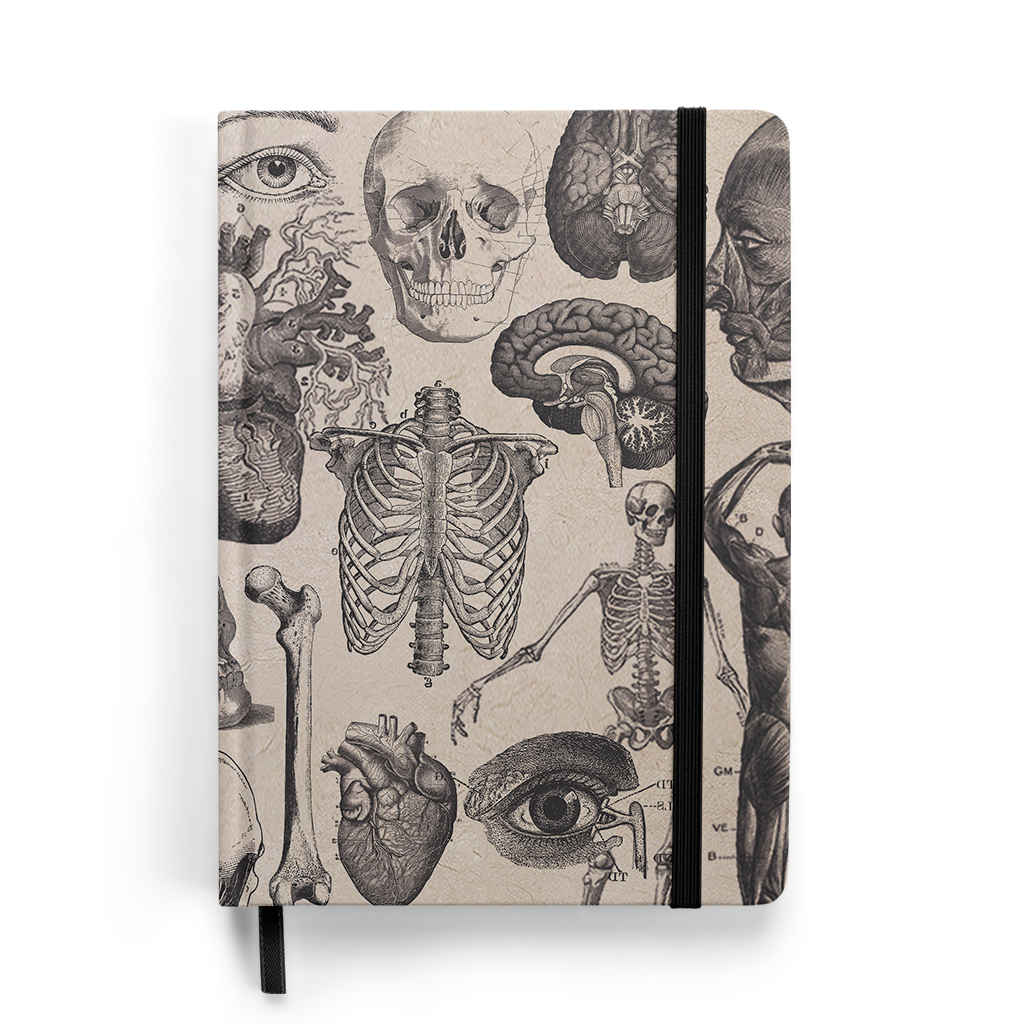 Caderno Sketchbook Anatomia Antique