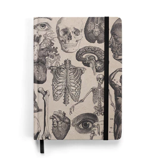 Caderno Sketchbook Anatomia Antique