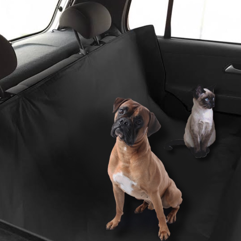 br-11134207-7qukw-licewk10pfsl58