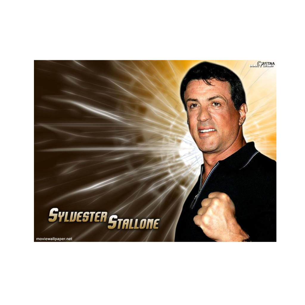 Coleção Sylvester Stallone Filmes Antigos Shopee Brasil