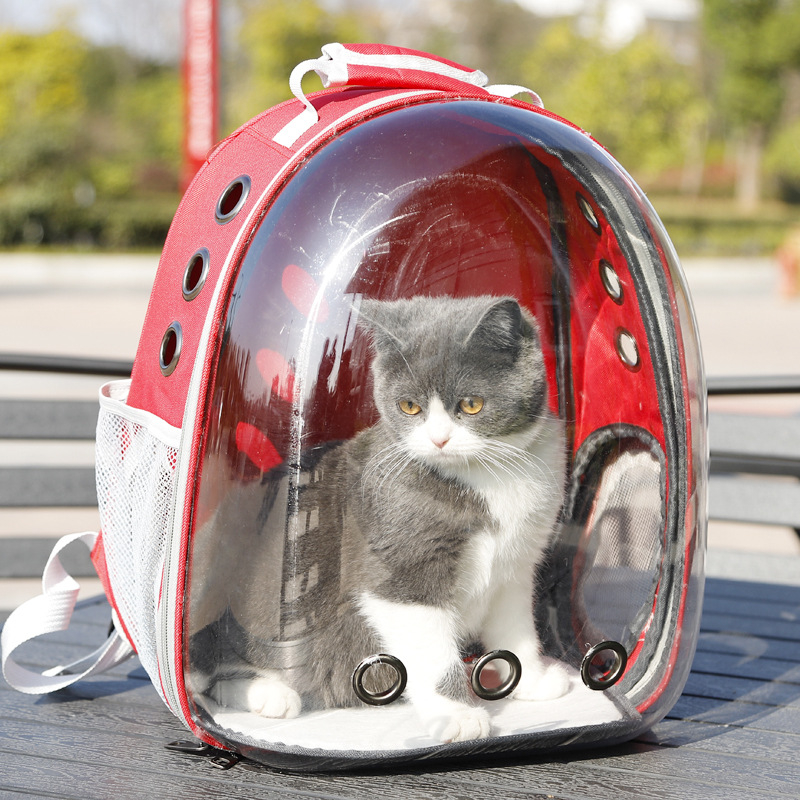 Mochila Astronauta Transparente Visão Passeio Respirável Para Gato Animais