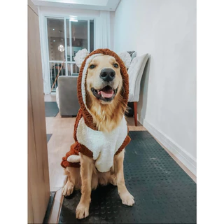 Roupa de Urso Inverno Frio para Cachorros Cães Pets de Pequeno Médio e Grande porte