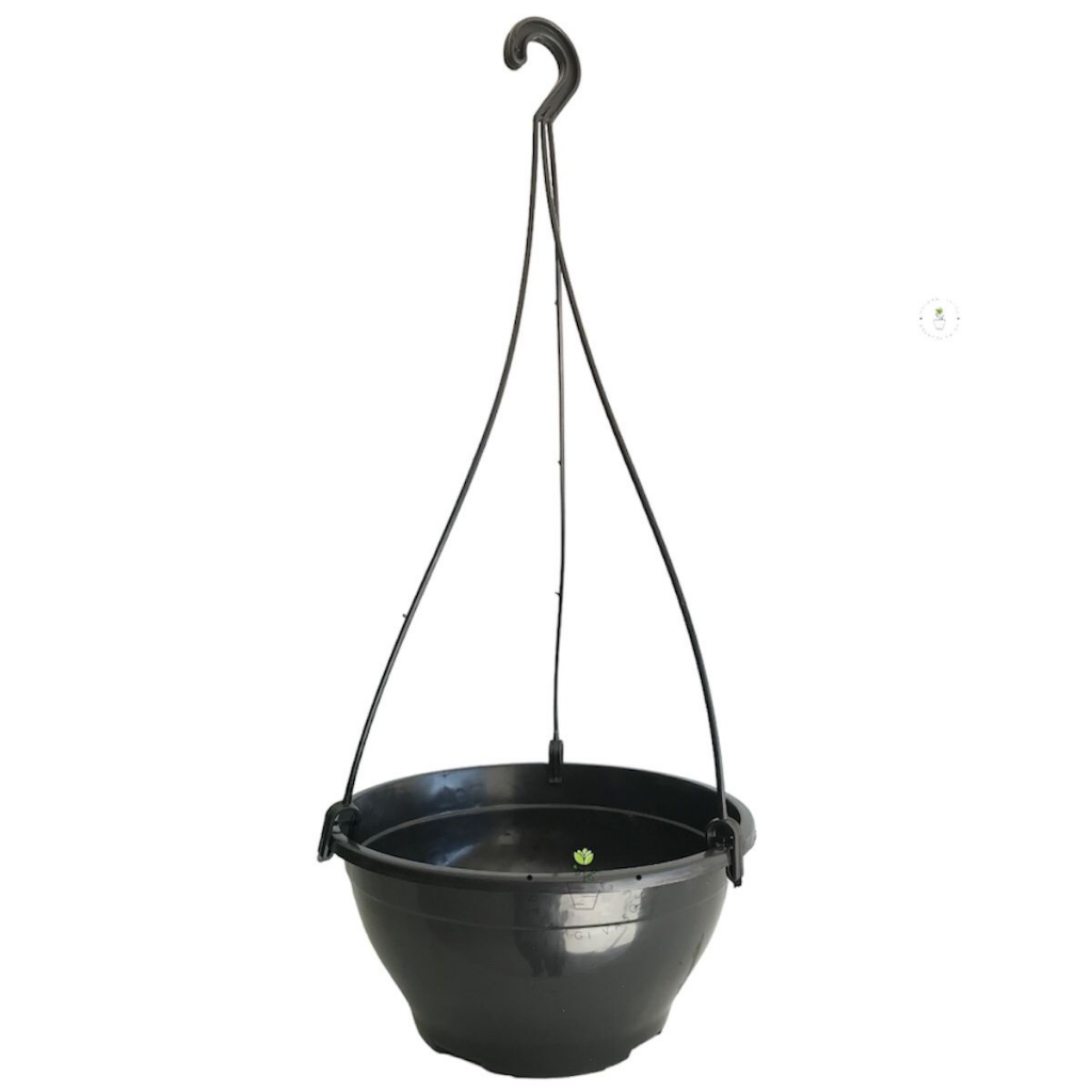 10 Cuias 18 Com Alças Preta Para Mudas Plantas Diversas Promoção