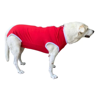 Roupa Pós Cirúrgica para Cachorro Pet cães e gatos cirurgia castração algodão confortável Dog - Roupinha Cirúrgica Pet Vermelho 00 a 14