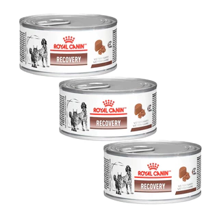 Caixa 3un Ração Úmida Royal Canin Veterinary Recovery Wet 195g