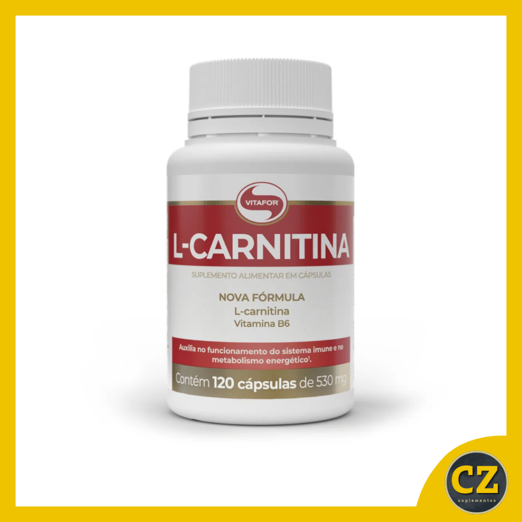 L Carnitina Vitafor em Promoção na Shopee Brasil 2026
