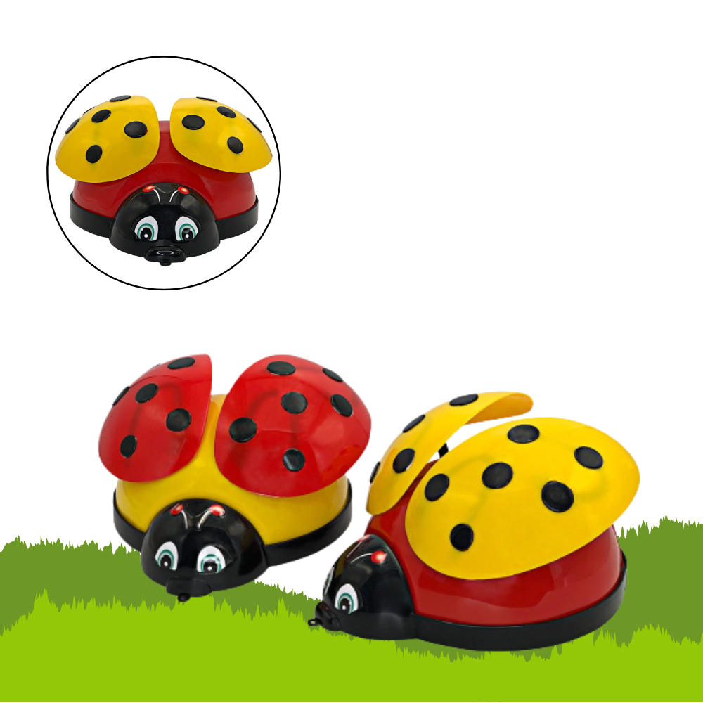 Brinquedo Bebê Infantil Joaninha de Empurrar que Bate as Asas | Shopee ...