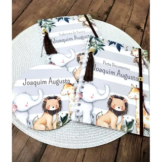 Kit Caderneta de vacina (ou caderneta de saúde) + Livro do Bebê meninos. Edição atualizada