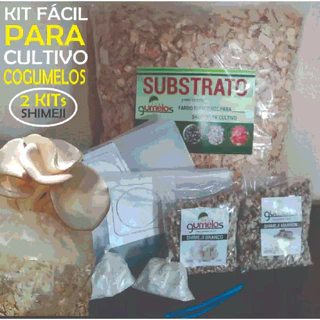 Cultivar Cogumelo Shimeji Kit Completo Pague 1 E Leve 2