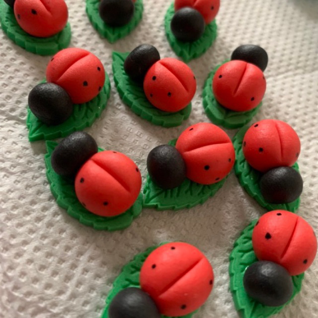 APLIQUE DE PASTA AMERICANA JOANINHA COM FOLHA 2cm 10 UNIDADES