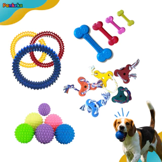 KIT Brinquedo Mordedor Massageador Brinquedo para Cachorro - 4 Unid - Diversão pet