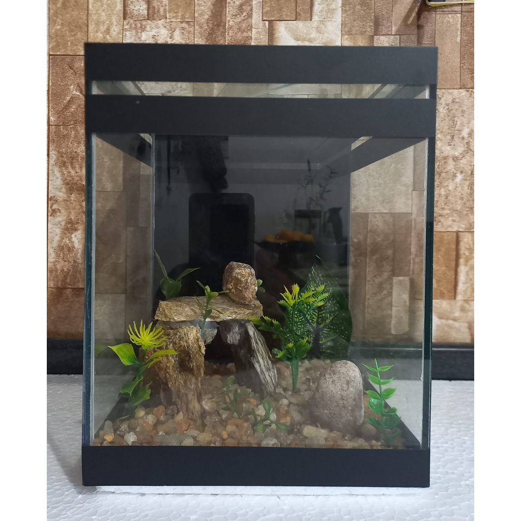 Aquário Beteira Tubular Decorada Peixe Betta 9 Litros