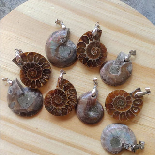 Colar de Amonite Pingente Para Colar Amonita Fóssil Natural Concha